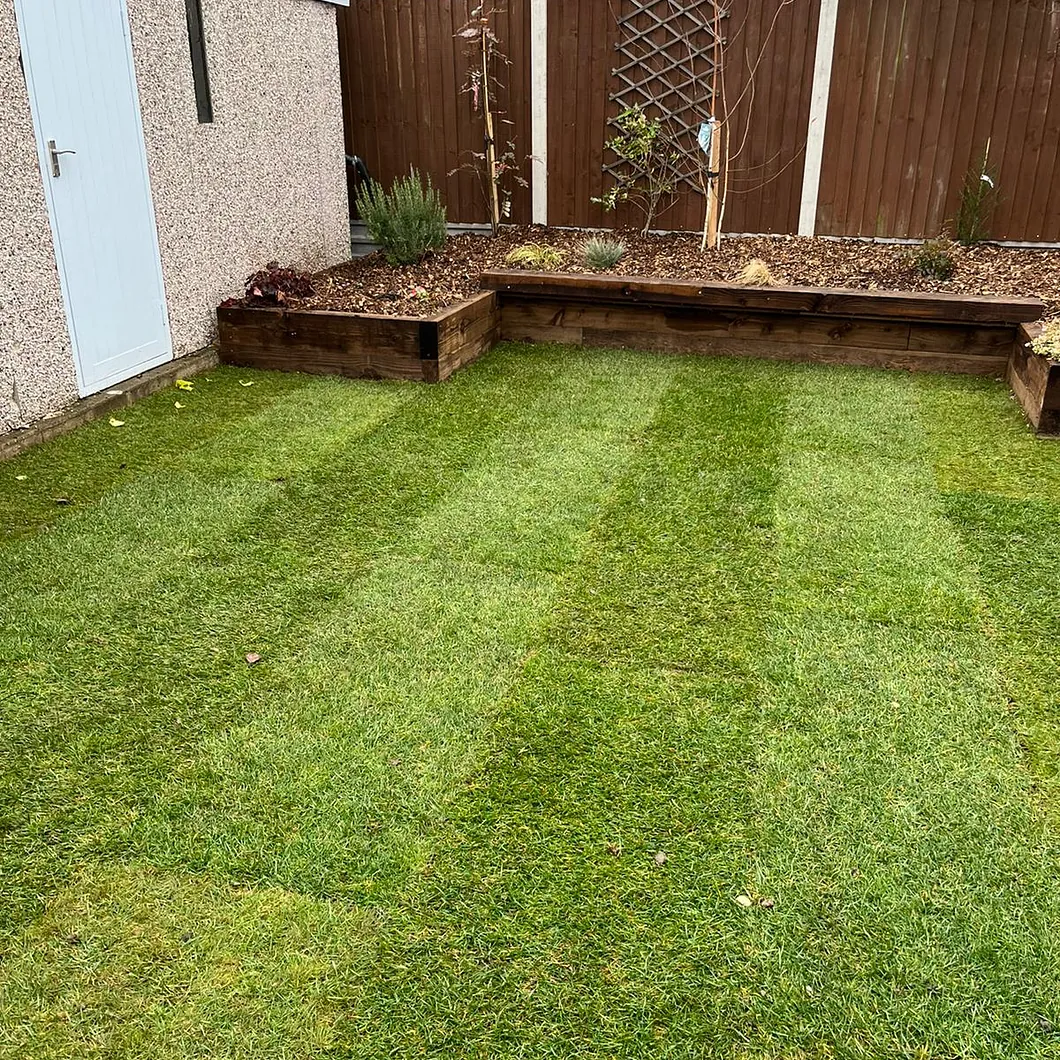 garden turf